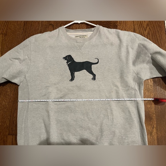 The Black Dog Sweatshirt in Gray - Picture 2 of 7